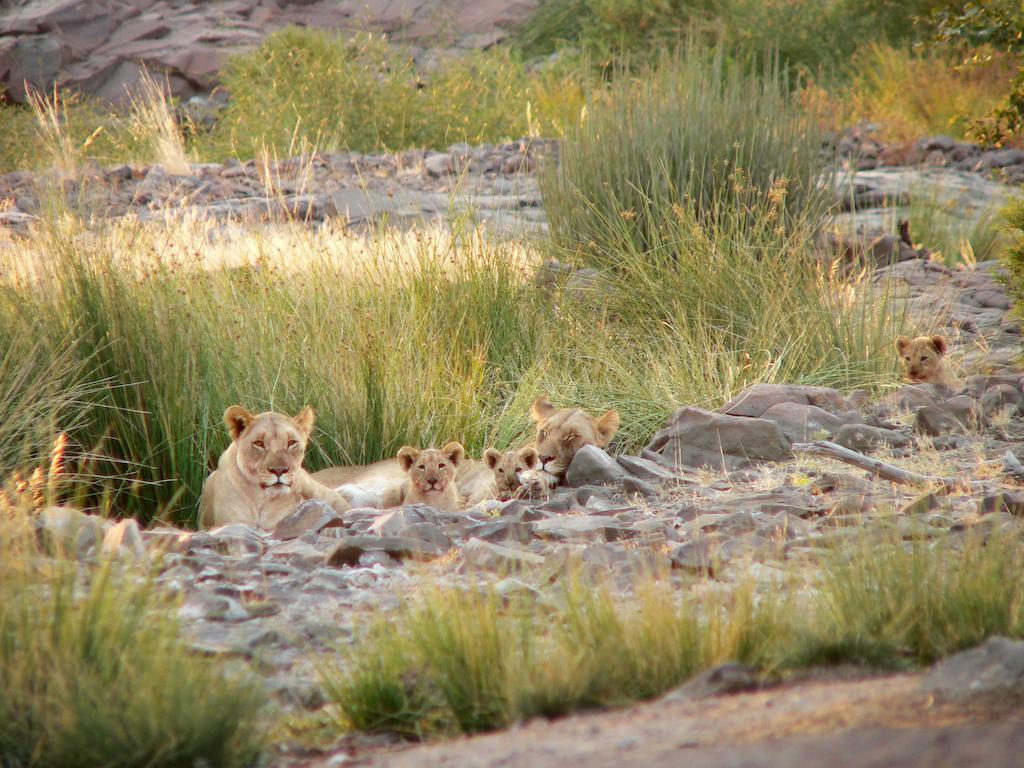 Etendeka Mountain Camp Damaraland Kültér fotó