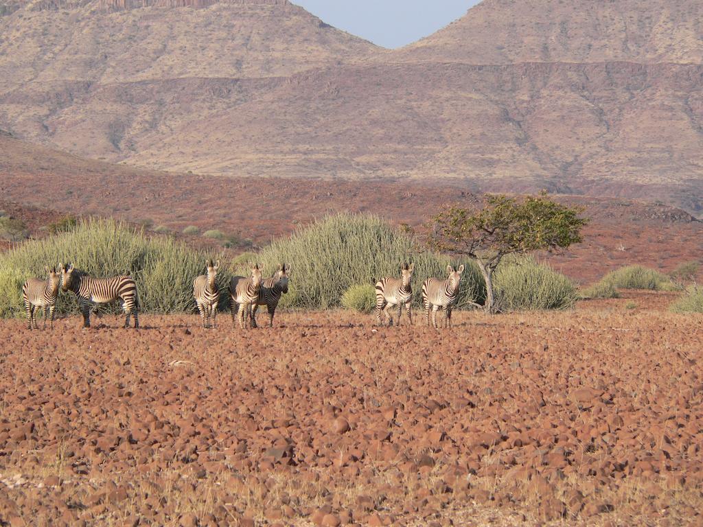 Etendeka Mountain Camp Damaraland Kültér fotó