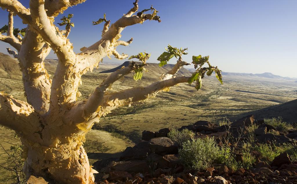 Etendeka Mountain Camp Damaraland Kültér fotó