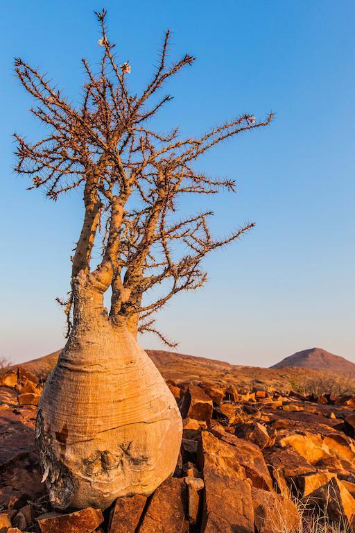 Etendeka Mountain Camp Damaraland Kültér fotó